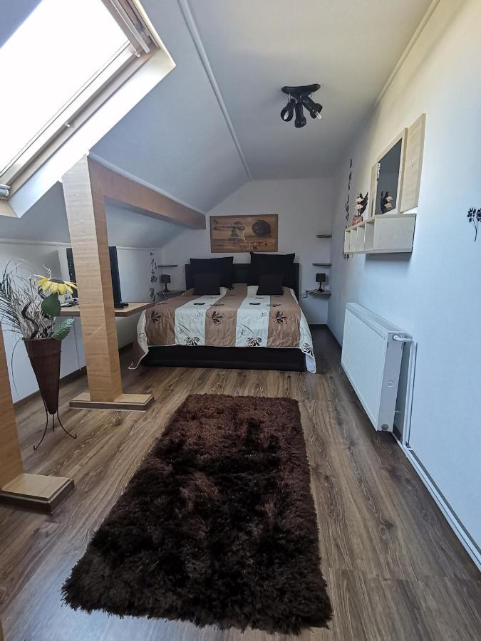Shelby Accommodation -Adult Only- Sinaia Habitación foto